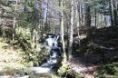 La Savoureuse du Rummel à l'Etang du Petit Haut
